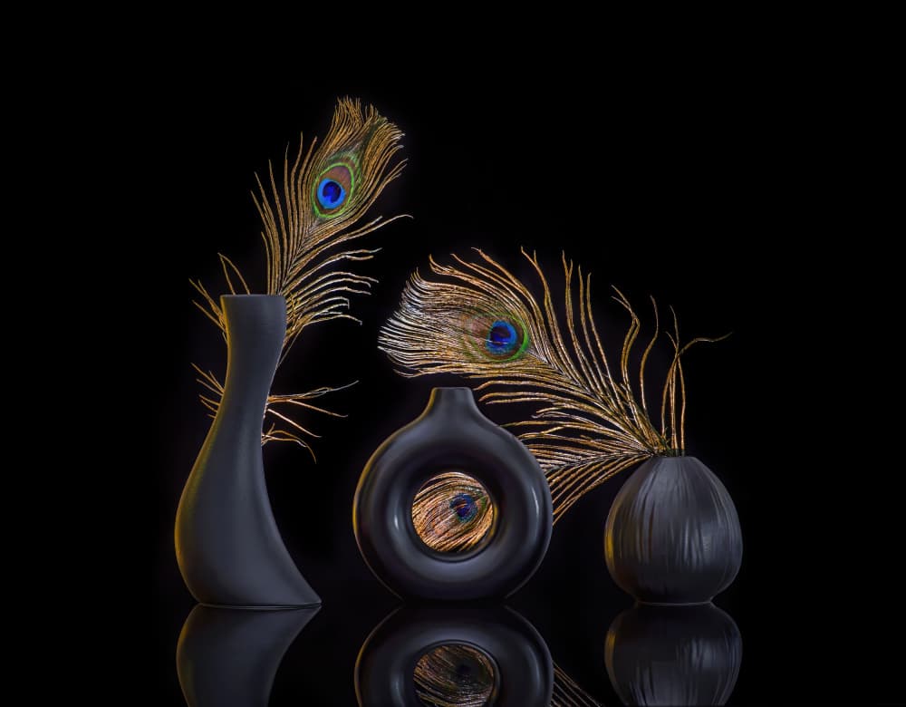 Elegant Peacock Still Life by Alice Sheng — canvas wall art