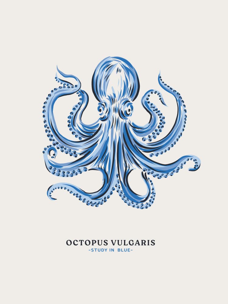 Blue Octopus Study by Alexandra Weise — canvas wall art