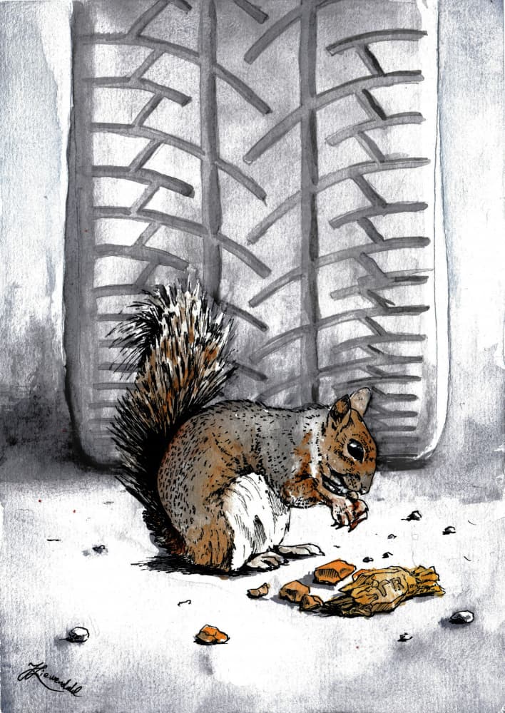 Squirrel by Tire Track by Johan Liewendahl — canvas wall art
