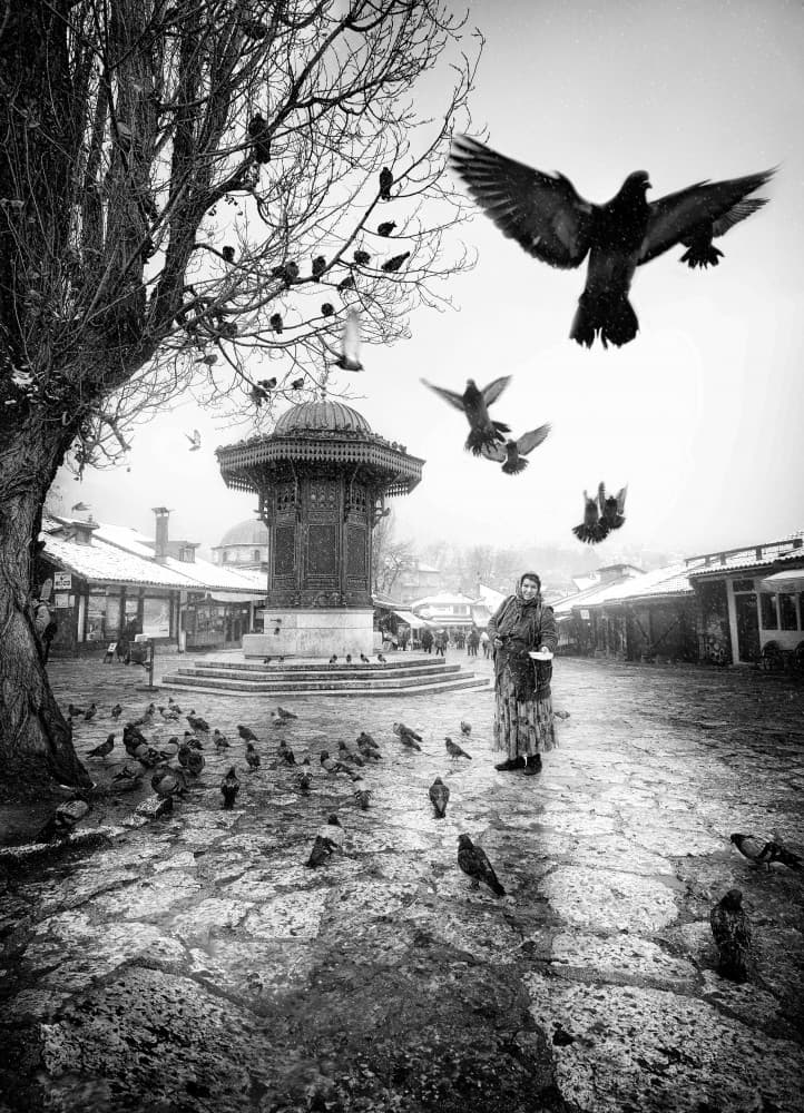 Woman Feeding Sebilj Pigeons by Petar Lupic — canvas wall art