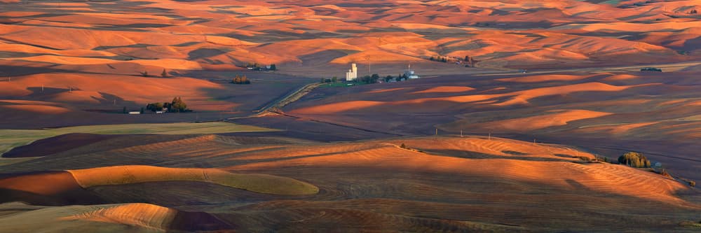 Golden Rolling Farmland by John Fan — canvas wall art