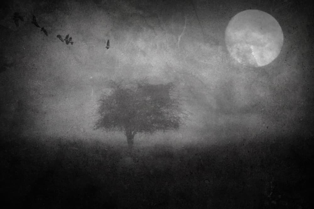 Lonely Tree Moonlit Night by Robert Fabrowski — canvas wall art