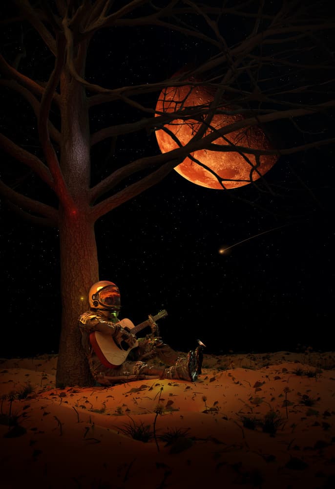 Astronaut's Red Moon Serenade by Nicebleed — canvas wall art