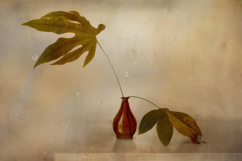 Golden Leaf Still Life by Elena Arjona — canvas wall art