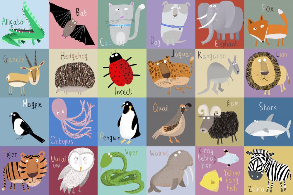 Playful Animal Kingdom by Carla Daly — canvas wall art