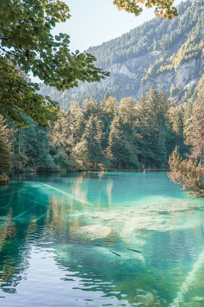 Crystal Clear Mountain Lake by Henrike Schenk — canvas wall art