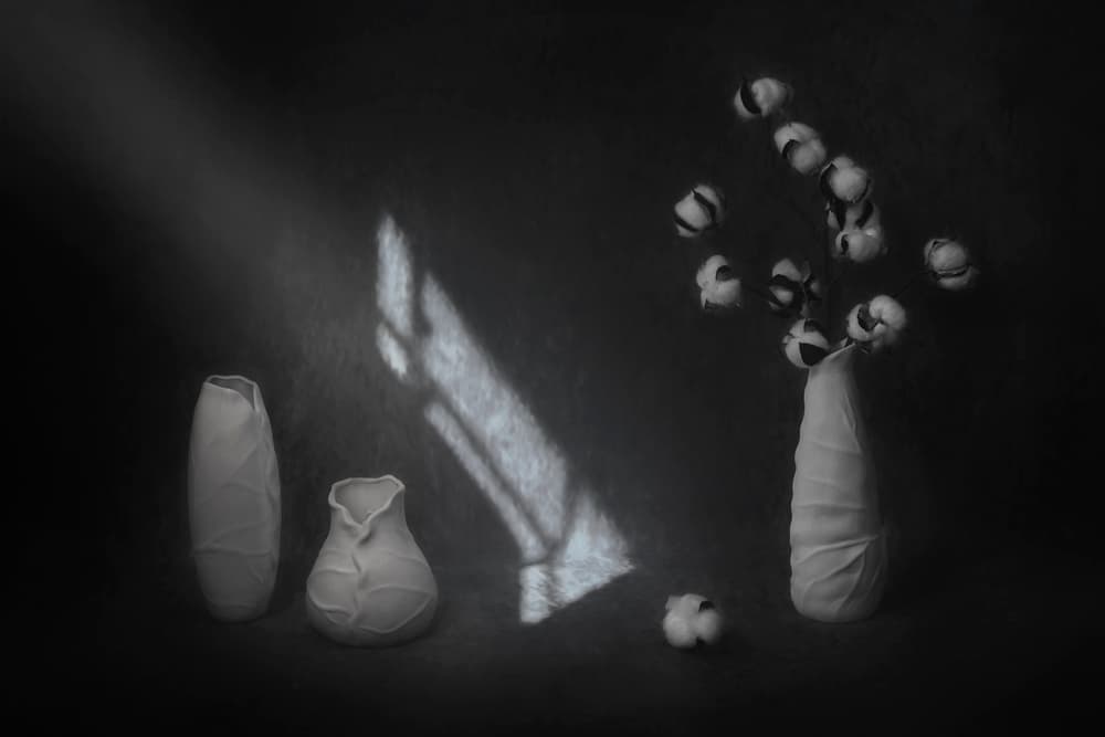 Serene Cotton Still Life by Lydia Jacobs — canvas wall art