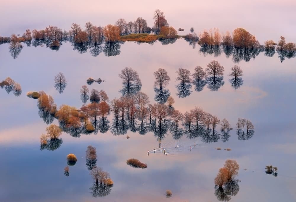 Flooded Forest Reflections by Ales Komovec — canvas wall art
