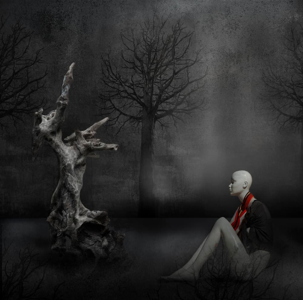 The last Forest by Martine Benezech — canvas wall art