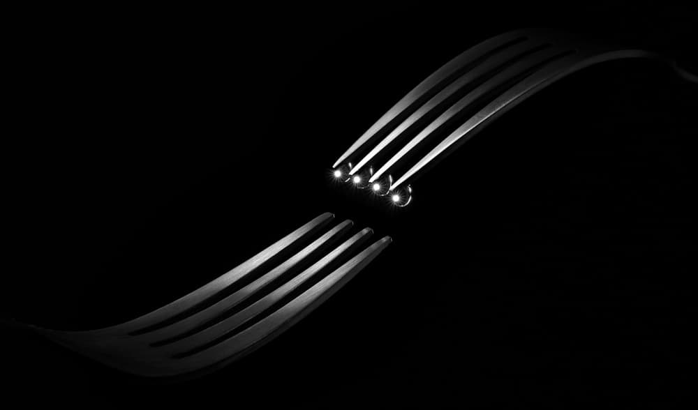 Connected Silver Forks by Drazen Sokac — canvas wall art