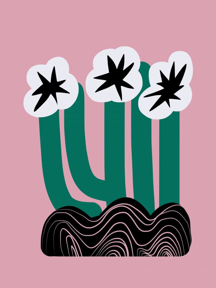 Abstract Cactus Flowers by Little Dean — canvas wall art