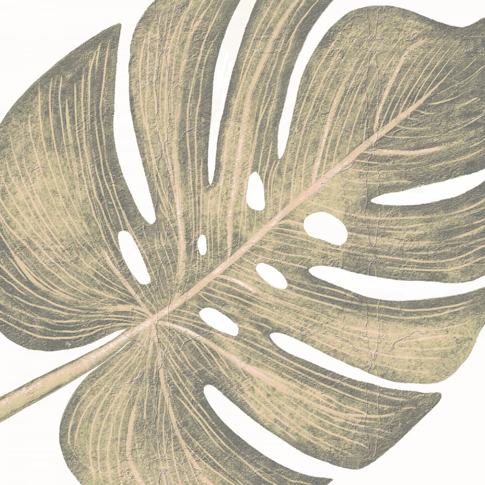 Tropical Monstera Leaf by Martina — canvas wall art