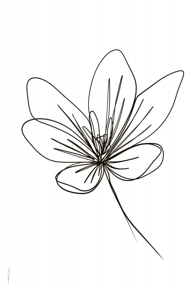 Elegant Botanical Line Art by Ankie Kooi — canvas wall art