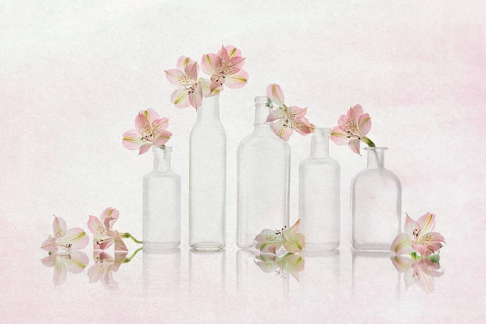 Pink Blooms and Glass by Lydia Jacobs — canvas wall art