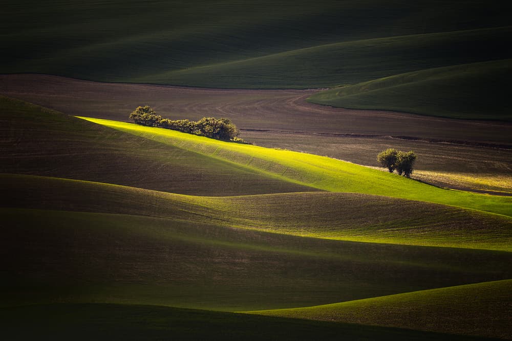 Sunlit Rolling Green Fields by Leah Xu — canvas wall art