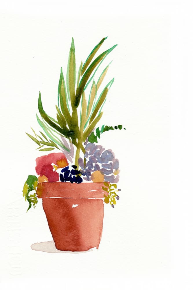 Colorful Potted Botanicals by Christine Lindstrom — canvas wall art