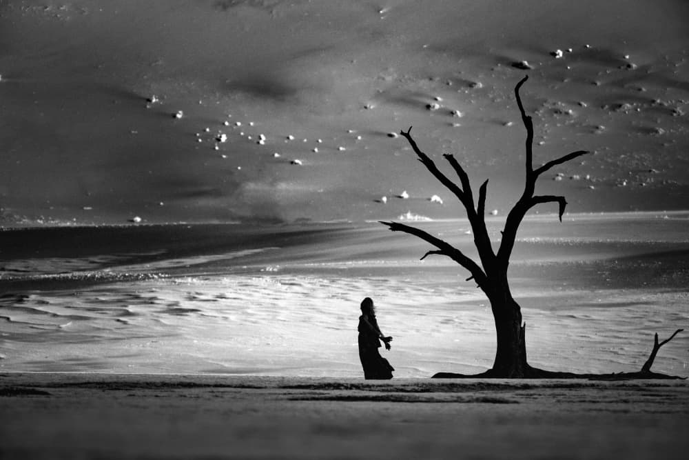 Figure by Desert Tree by Gina Buliga — canvas wall art
