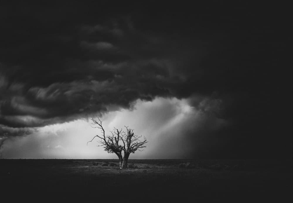 Solitary Tree Storm Drama by Dennis Zhang — canvas wall art