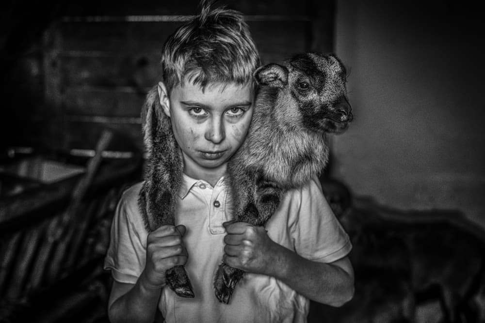 Solemn Boy and Lamb by Joško Šimic — canvas wall art