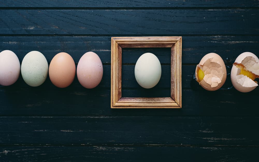 Eggs Framed and Broken by Karina Aleksandrova — canvas wall art