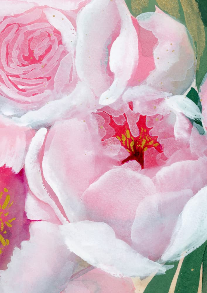 Soft Pink Peony Bloom