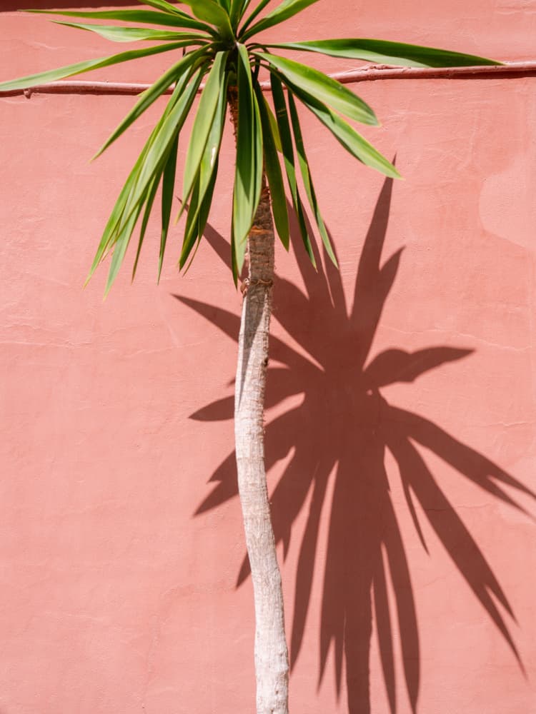 Details of Tamraght Morocco by Raisa Zwart — canvas wall art