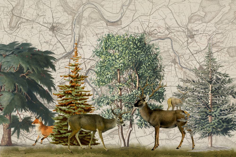 Forest Wildlife on Map by Andrea Haase — canvas wall art