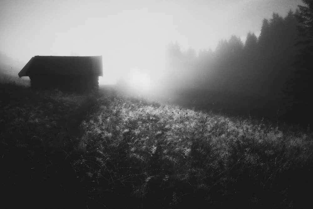 Misty Morning Cabin by Roswitha Schleicher-Schwarz — canvas wall art
