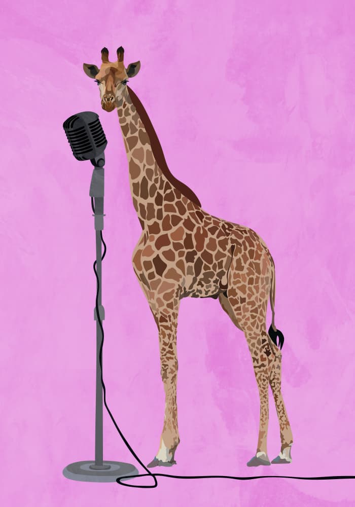 Singing Giraffe Pink by Sarah Manovski — canvas wall art