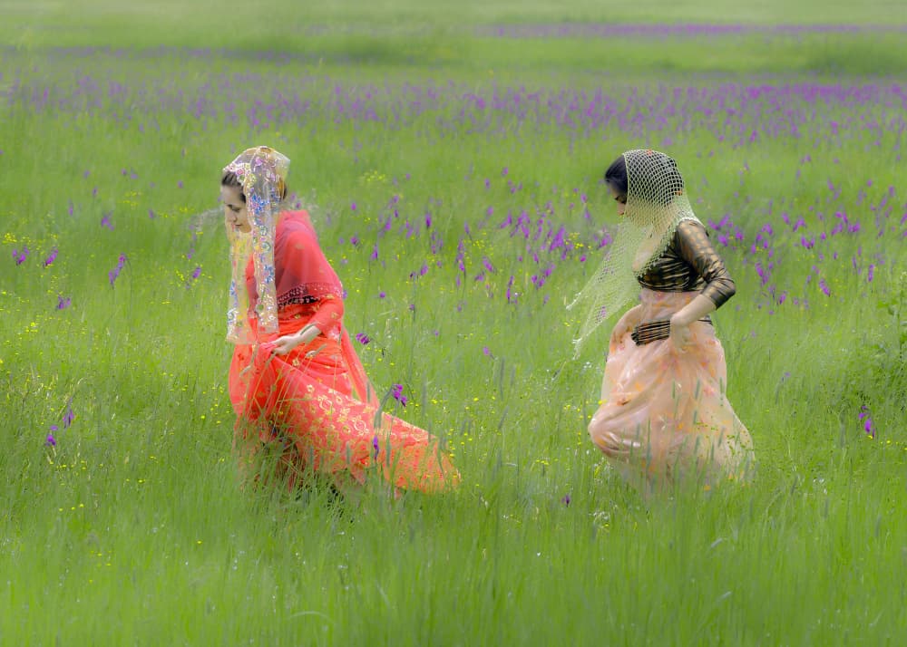 Elegant Figures In Meadow by Abbas Arabzadeh — canvas wall art