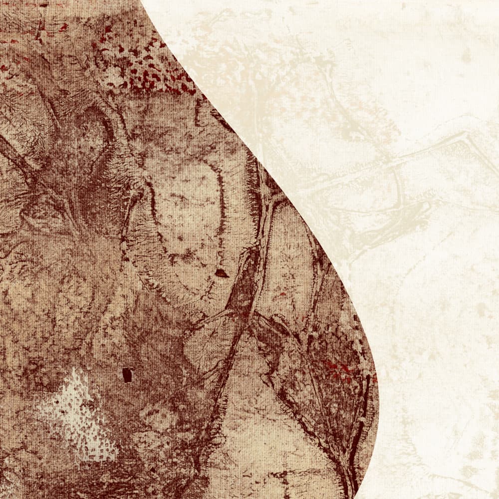 Textured Abstract Curve by Dina Dankers — canvas wall art