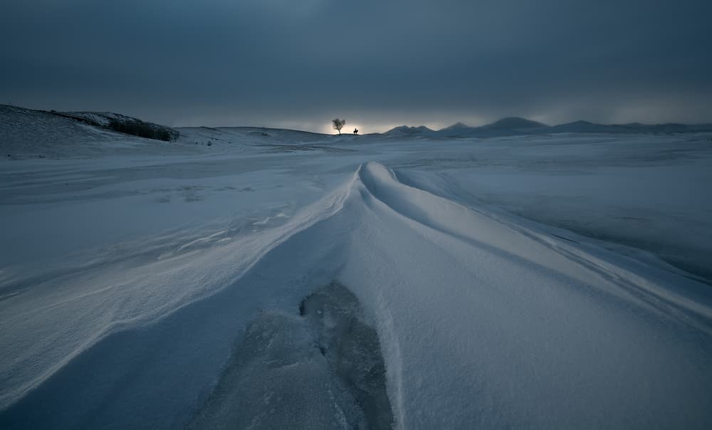 Frozen Winter Landscape by Bingo Z — canvas wall art
