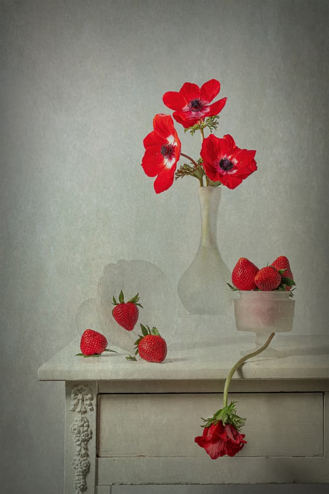 Spring Bloom and Berries by Lydia Jacobs — canvas wall art