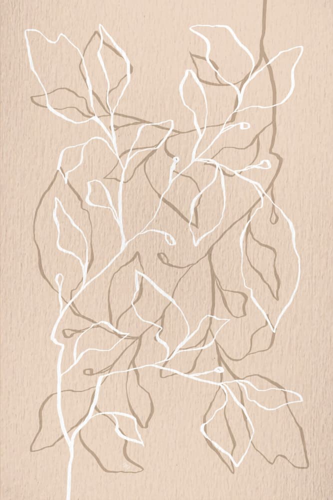 Organic Botanical Lines by Martina — canvas wall art