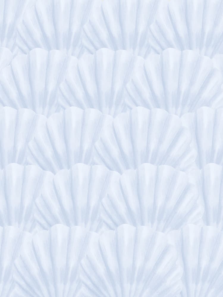 Light Blue Shells by Jolly and Dash — canvas wall art