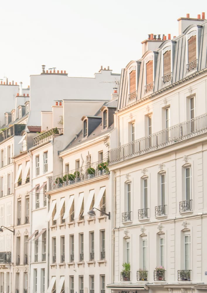 Elegant Parisian Architecture by Talitha McQueen — canvas wall art