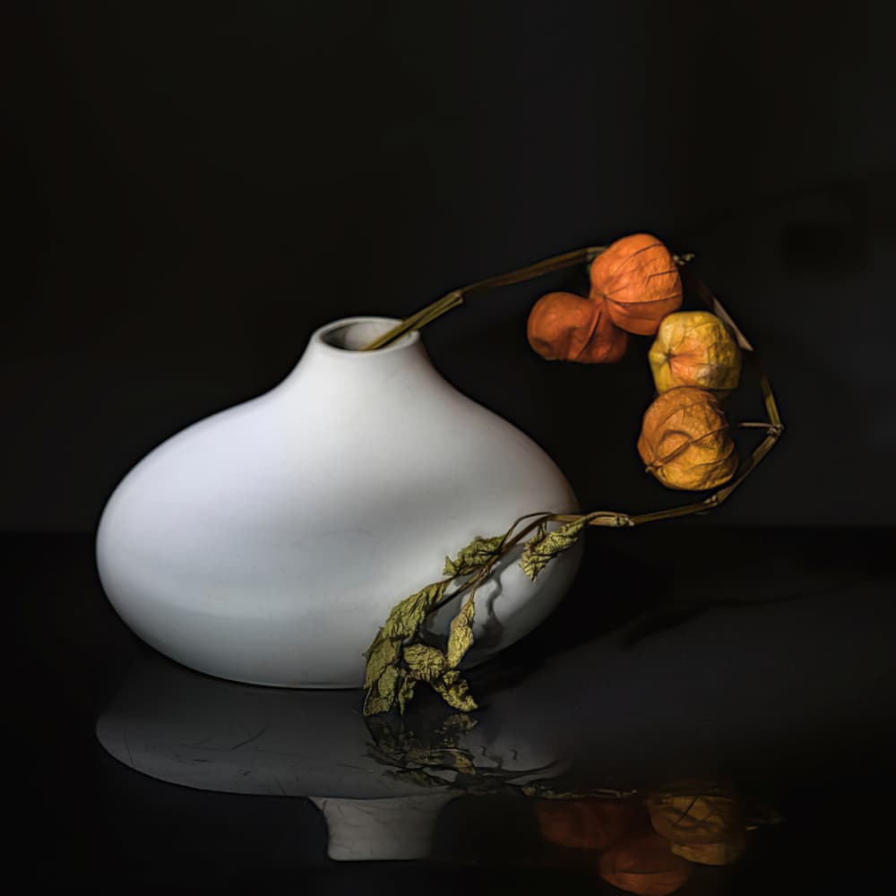 Elegant Physalis Still Life by Saskia Dingemans — canvas wall art