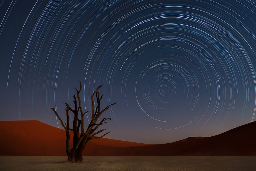 Desert Star Trails by Karen Deakin — canvas wall art