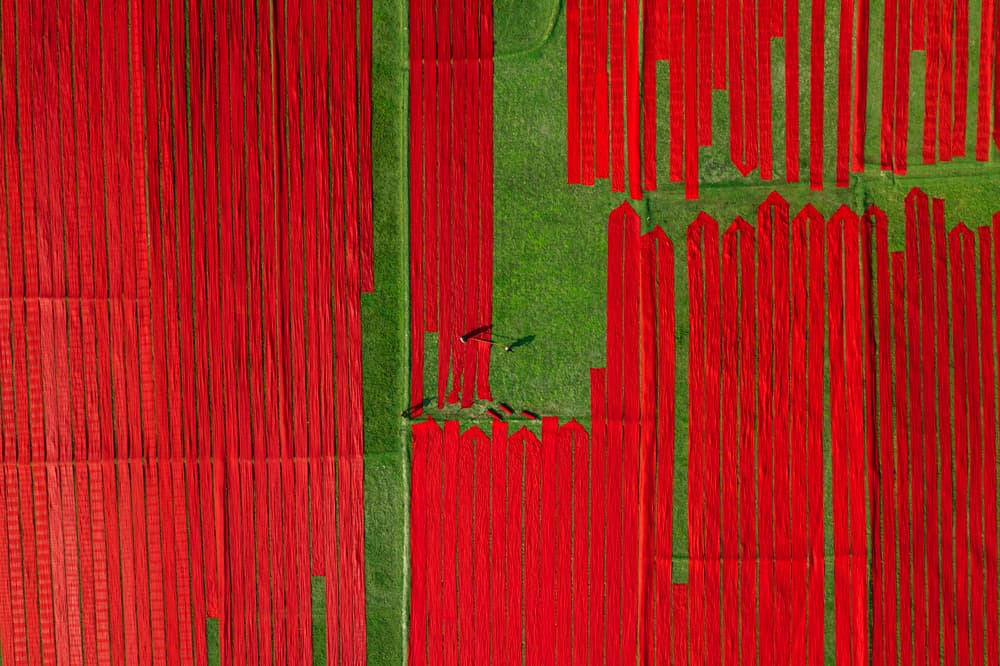 Vibrant Red Fields by Azim Khan Ronnie — canvas wall art