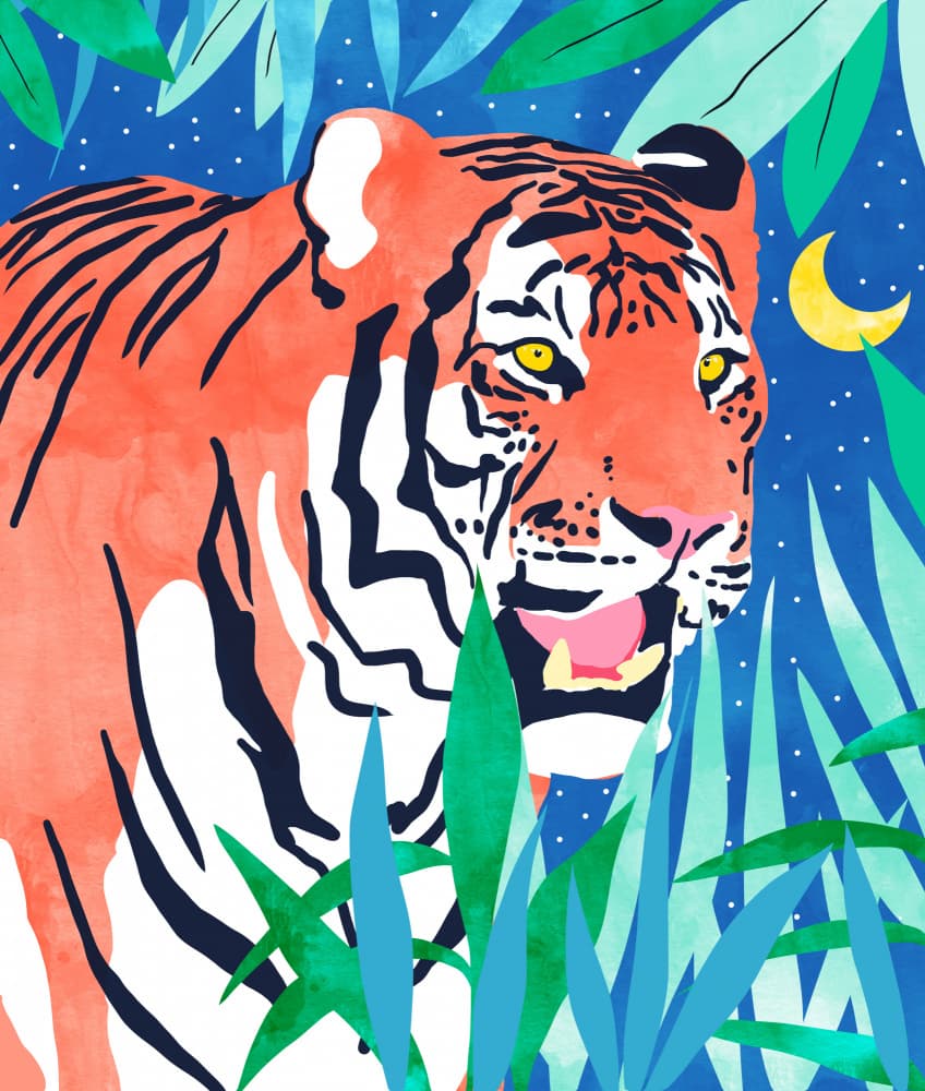 Jungle Night Tiger by Uma Gokhale — canvas wall art