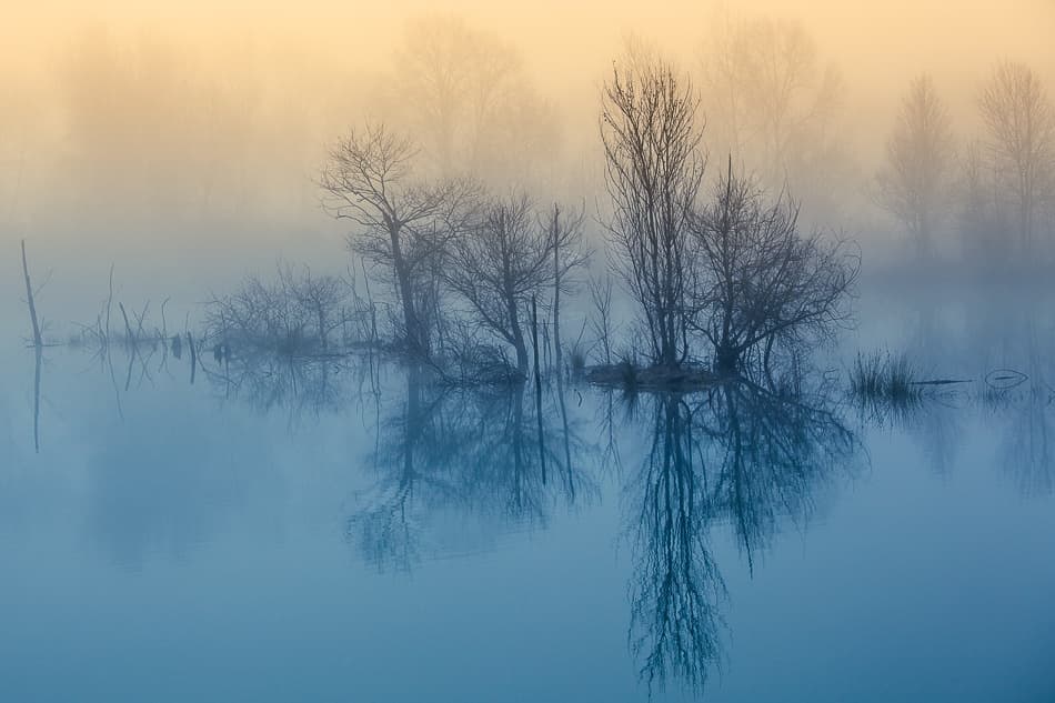 Misty Lake Reflections by David Butali — canvas wall art