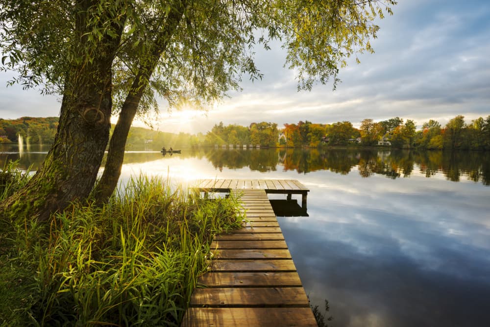 Untitled by Stefan Hefele — canvas wall art