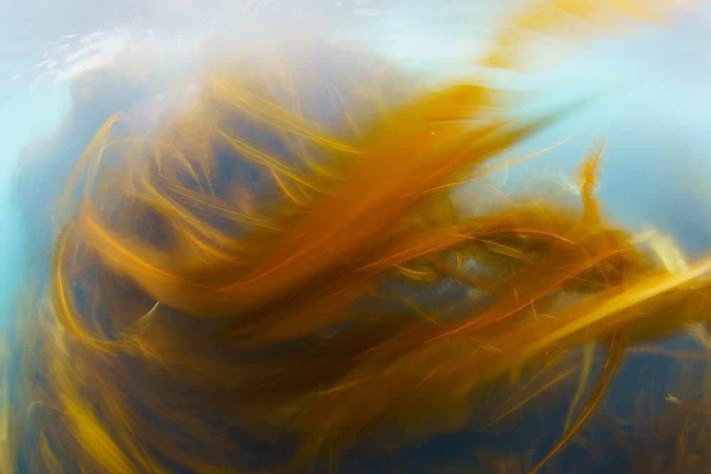 Abstract Golden Glow by Andrey Narchuk — canvas wall art