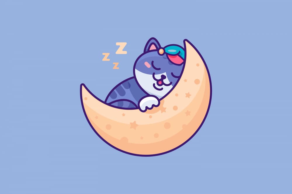 Cute Cat on Moon by Marika Barsrsind — canvas wall art