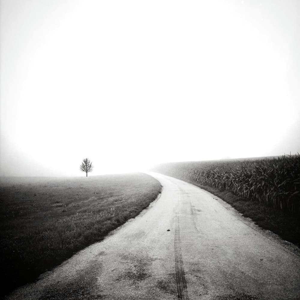 Winding Country Road by Renate Wasinger — canvas wall art