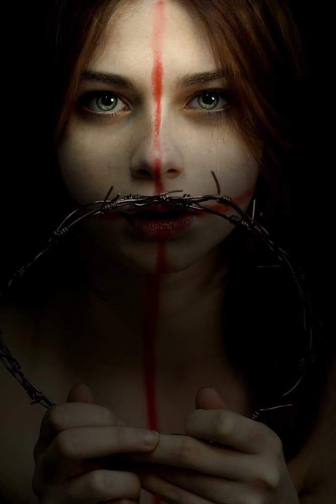 Barbed Wire Crown by Olga Mest — canvas wall art