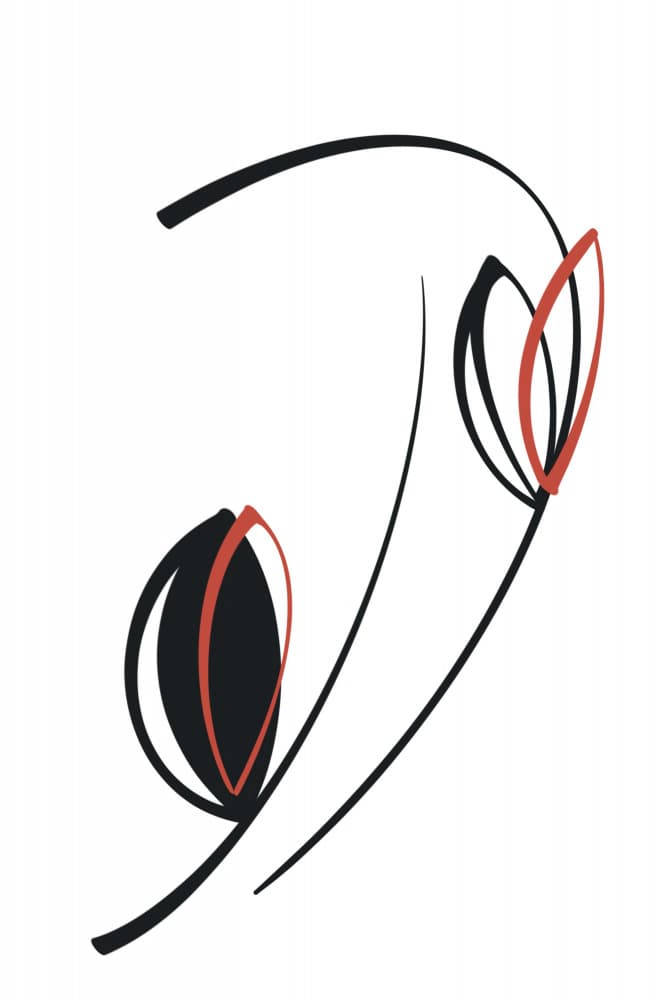 Elegant Abstract Floral Curves by Ankie Kooi — canvas wall art