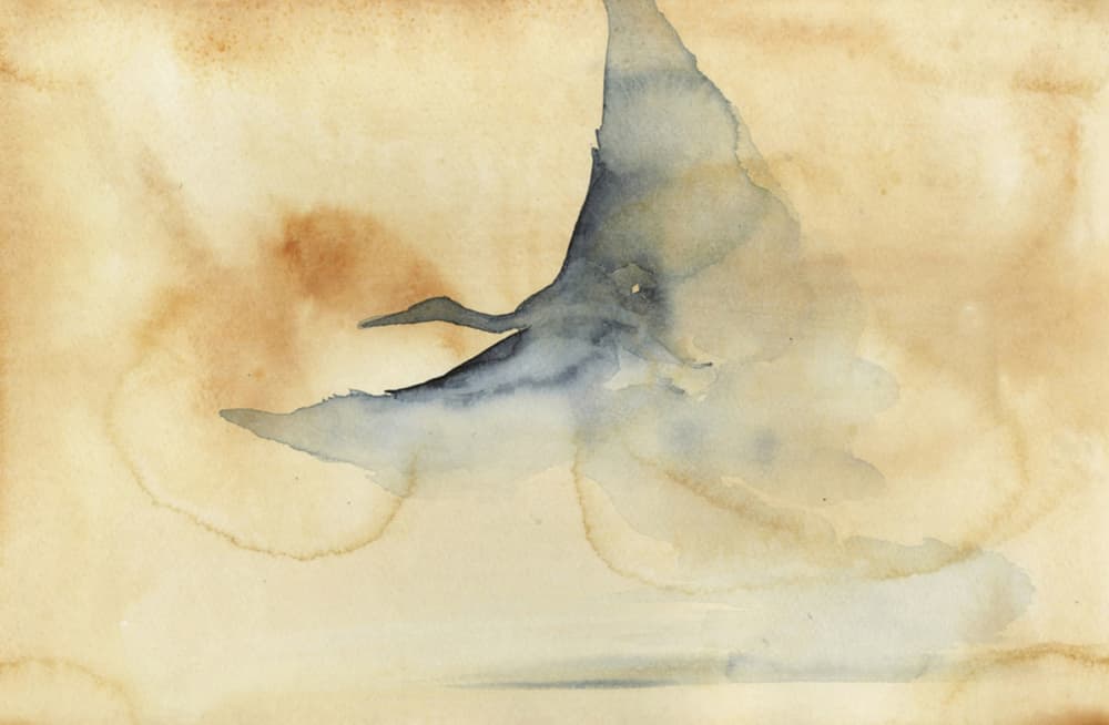 Ethereal Bird Soaring by RodMacIver — canvas wall art