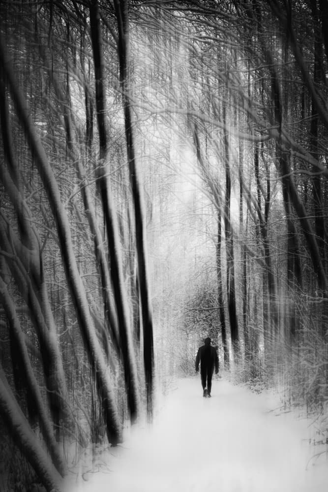 Solitary Winter Journey by Lars Hylleberg — canvas wall art