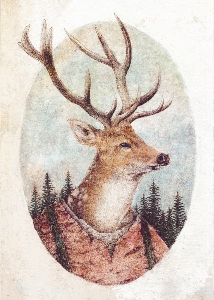 Deer In A Rustic Outfit